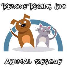 Rbxadder Get Here Rbx is fundraising for International Animal Rescue